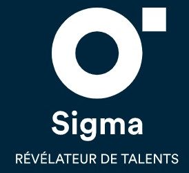 Sales Associate FR/ENG H/F